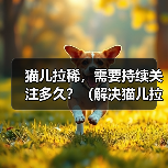 猫儿拉稀需要关注多久｜耐心细心是关键(图3)
