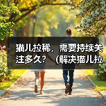 猫儿拉稀需要关注多久｜耐心细心是关键(图2)
