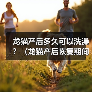 龙猫产后洗澡注意事项｜新手必看实用指南