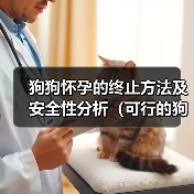 狗狗怀孕终止方法及安全性分析｜科学指南(图4)