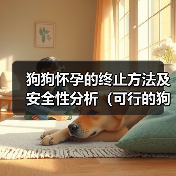 狗狗怀孕终止方法及安全性分析｜科学指南