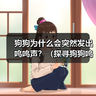 狗狗突然呜呜声原因解析｜科学养宠指南