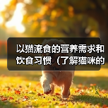 猫流食喂养指南：科学满足猫咪营养需求与健康习惯(图2)