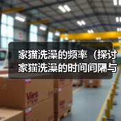 家猫洗澡频率指南｜科学清洁方法与注意事项(图4)