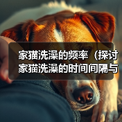 家猫洗澡频率指南｜科学清洁方法与注意事项(图2)