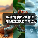 泰迪饮食管理指南｜科学喂养全攻略