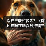 猫咪三连击持续时间解析｜科学观察与饲养建议