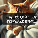 以猫三联打多久?(探讨猫咪在玩耍时持续三连击的时间)(图2) 猫咪三连击持续时间解析|科学观察与饲养建议(图2)
