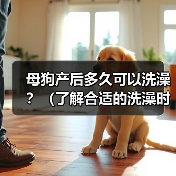 母狗产后多久可以洗澡?(了解合适的洗澡时间,保护母狗与幼犬的健康)(图2) 母狗产后洗澡注意事项|健康护理全攻略(图2)