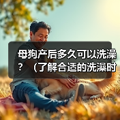 母狗产后洗澡注意事项｜健康护理全攻略