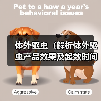 体外驱虫效果及起效时间解析｜实用指南