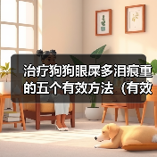 治疗狗狗眼屎多泪痕重的五个有效方法(有效无副作用的方法帮助治疗狗狗眼屎多泪痕重)(图3) 狗狗眼屎多泪痕重怎么处理|无副作用治疗全攻略(图3)