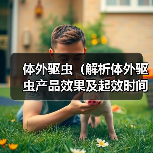 体外驱虫(解析体外驱虫产品效果及起效时间)(图3) 体外驱虫效果及起效时间解析|实用指南(图3)