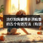 治疗狗狗眼屎多泪痕重的五个有效方法(有效无副作用的方法帮助治疗狗狗眼屎多泪痕重)(图2) 狗狗眼屎多泪痕重怎么处理|无副作用治疗全攻略(图2)