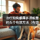 狗狗眼屎多泪痕重怎么处理｜无副作用治疗全攻略