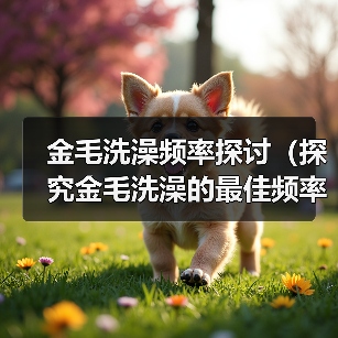 金毛洗澡频率探讨(探究金毛洗澡的最佳频率及注意事项)(图4) 金毛洗澡频率指南|科学护理全解析(图4)