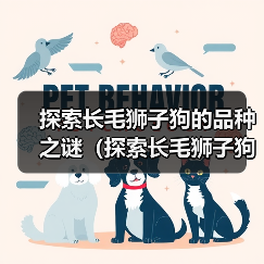 长毛狮子狗品种大全｜特色与养护全攻略