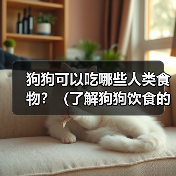 狗狗可以吃哪些人类食物?(了解狗狗饮食的安全与合理性)(图3) 狗狗能吃哪些人类食物?安全饮食指南(图3)