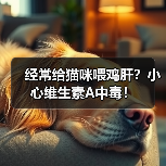 经常给猫咪喂鸡肝?小心维生素A中毒!(图4) 经常喂鸡肝小心维生素A中毒|猫主食安全指南(图4)
