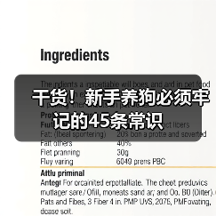 新手养狗必备常识45条｜全面指南(图1)