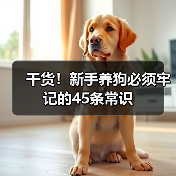 新手养狗必备常识45条｜全面指南(图3)