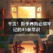 新手养狗必备常识45条｜全面指南(图2)