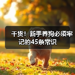 新手养狗必备常识45条｜全面指南(图4)