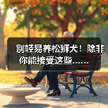 松狮犬饲养注意事项｜适合人群全解析