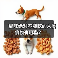 猫咪绝对不能吃的人类食物有哪些?(图4) 猫咪不能吃的人类食物清单|养猫饮食禁忌全攻略(图4)