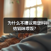 塑料猫碗危害揭秘｜养猫必备知识(图2)