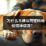 塑料猫碗危害揭秘｜养猫必备知识(图4)
