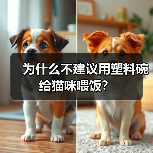 塑料猫碗危害揭秘｜养猫必备知识(图3)