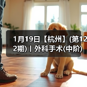 外科手术中阶实战班｜实操提升全攻略(图3)