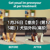 犬猫外科高阶实操班｜SUB技术与复杂手术全解析