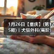 犬猫外科高阶实操班｜SUB技术与复杂手术全解析(图2)