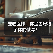 宠物医师的使命与责任思考｜真实案例分析
