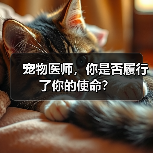 宠物医师的使命与责任思考｜真实案例分析(图4)