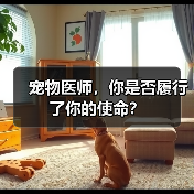 宠物医师的使命与责任思考｜真实案例分析(图3)
