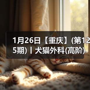 犬猫外科高阶实操班｜SUB技术与复杂手术全解析(图3)