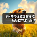 膀胱切开术操作流程图解｜手术核心技巧全攻略(图3)