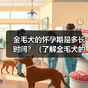 金毛犬的怀孕期是多长时间?(了解金毛犬的繁殖周期和怀孕持续时间)(图2) 金毛犬怀孕期多久?繁殖周期与护理全攻略(图2)