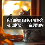 狗狗的眼睛睁开后多久可以断奶?(宝贝狗狗需要多长时间才能离开妈妈的奶水?)(图4) 狗狗断奶时间与注意事项|新手养狗全攻略(图4)