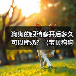 狗狗的眼睛睁开后多久可以断奶?(宝贝狗狗需要多长时间才能离开妈妈的奶水?)(图2) 狗狗断奶时间与注意事项|新手养狗全攻略(图2)