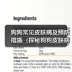 狗狗皮肤病类型及预防方法｜全面指南(图2)