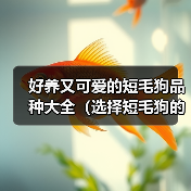 好养又可爱的短毛狗品种推荐｜选择指南(图2)
