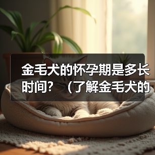 金毛犬怀孕期多久？繁殖周期与护理全攻略