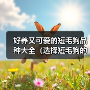 好养又可爱的短毛狗品种推荐｜选择指南(图3)