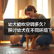 幼犬吹空调时间指南｜科学使用全攻略