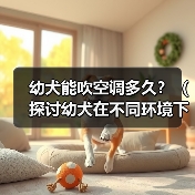 幼犬吹空调时间指南｜科学使用全攻略(图3)