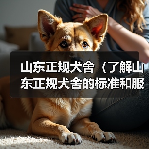 山东正规犬舍(了解山东正规犬舍的标准和服务,为您的宠物提供一个优质的居所)(图4) 山东正规犬舍标准解析|宠物养护全攻略(图4)